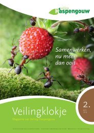 Veilingklokje - Veiling Haspengouw