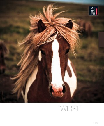 download hier western catalogus - Get - equiproducts