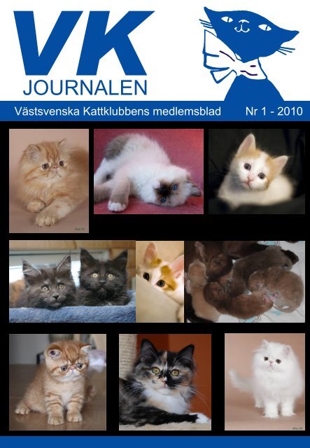 JOURNALEN - Västsvenska Kattklubben