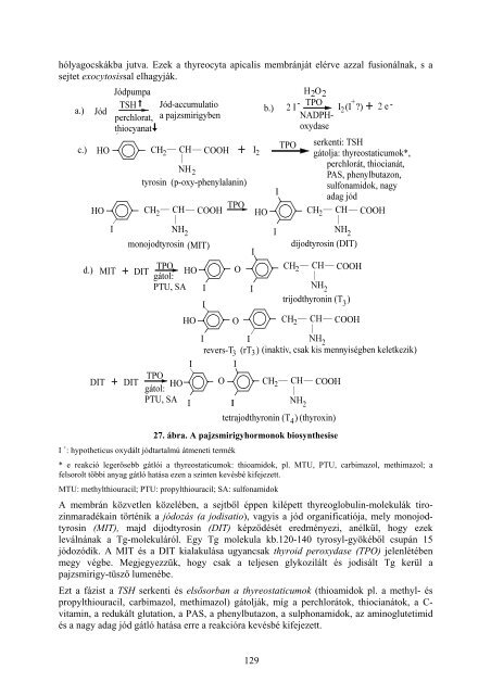 Klinikai endocrinologia