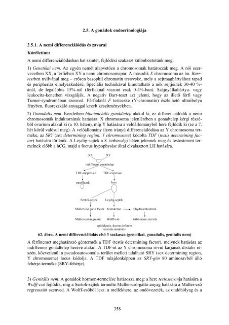 Klinikai endocrinologia