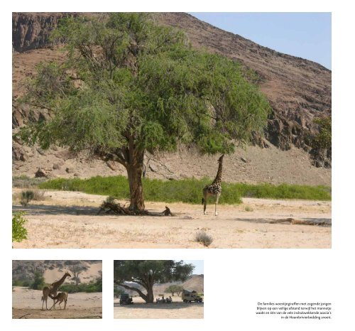 Zuid-West-Afrika - Anthologie