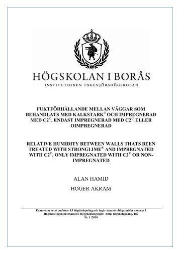 Examensarbete Högskolan i Borås 2010 - NSIAB