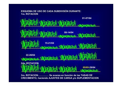 FORRAJES 2009 CLASE 3 (AVENA