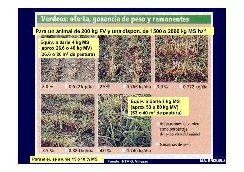 FORRAJES 2009 CLASE 3 (AVENA