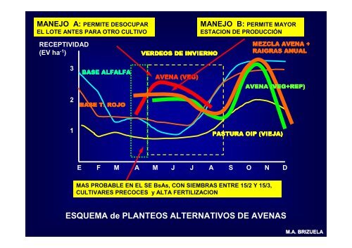 FORRAJES 2009 CLASE 3 (AVENA