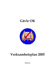 Gävle OK Verksamhetsplan 2005