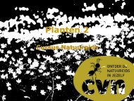 2. Voortplanting - CVN