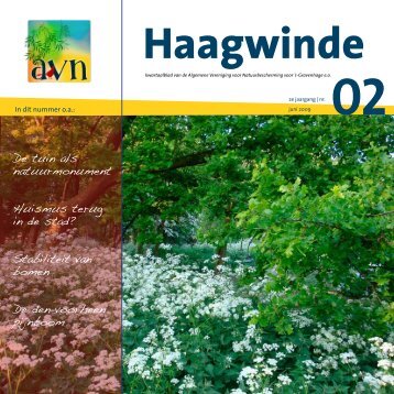 Haagwinde 2 - AVN