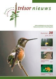 Nummer 38 juni 2013 - Trésor Rainforest