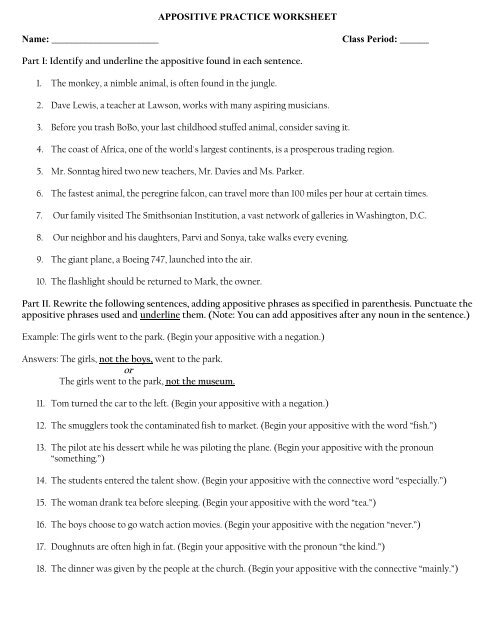 APPOSITIVE PRACTICE WORKSHEET MrsTolin