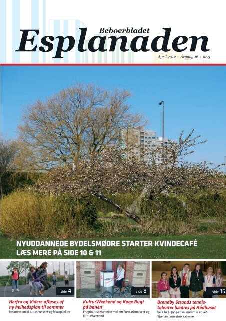 Get Kole strand baggrunde Desktop Wallpaper