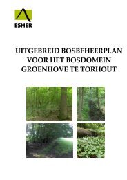 Groenhovebos - Torhout