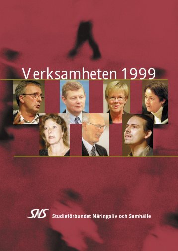 1999 4.6 MB pdf - SNS