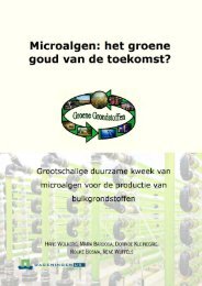 Microalgen: het groene goud van de toekomst? (2011) - Welkom bij ...