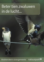 Beter tien zwaluwen in de lucht… - Tandem