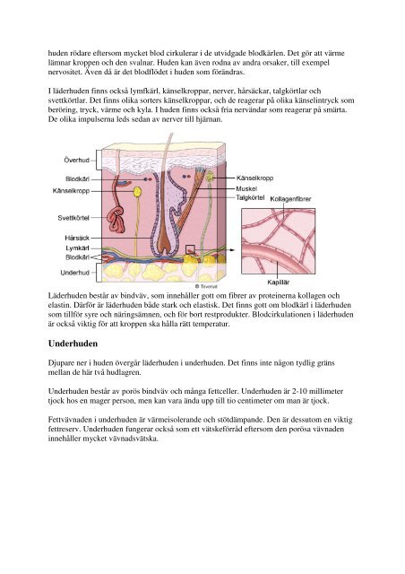 Huden och kroppens försvar.