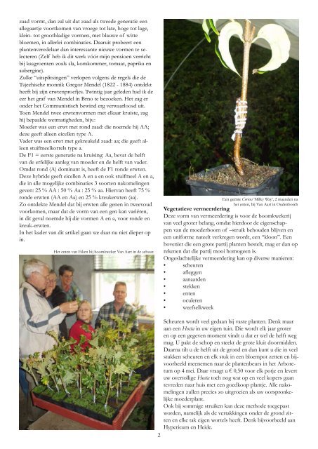 Bomen en struiken vermeerderen - Arboretum Oudenbosch