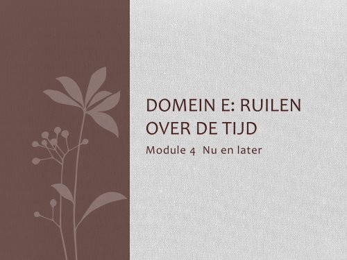 Domein E: Ruilen over de tijd