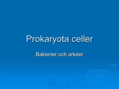 Prokaryota celler - Nvb10