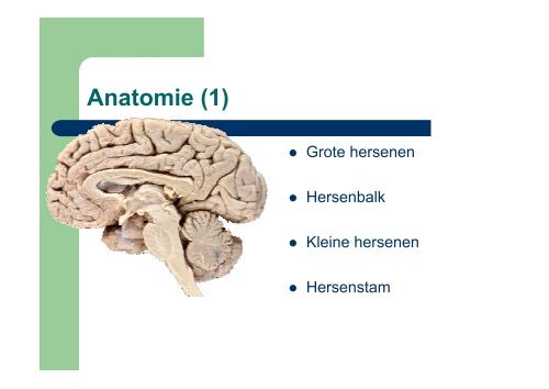 Neurorevalidatie