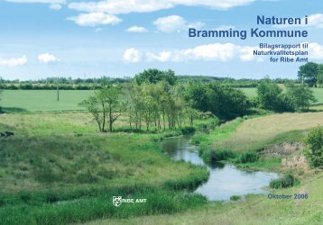 Naturen i Bramming Kommune - Bilagsrapport til Naturkvalitetsplanen