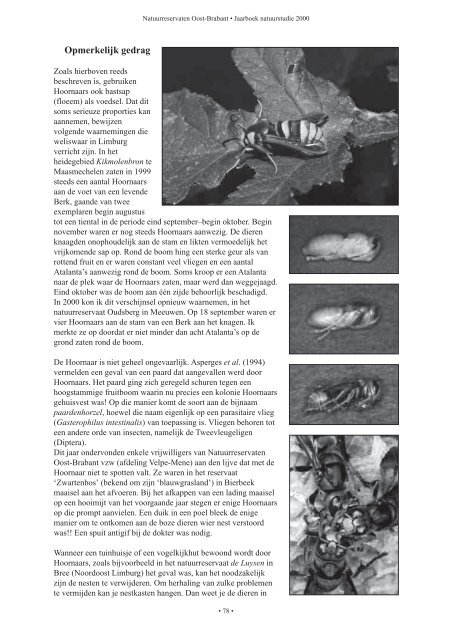 Jaarboek natuurstudie 2000 (1.41 mb, .pdf) - Natuurpunt Velpe-Mene