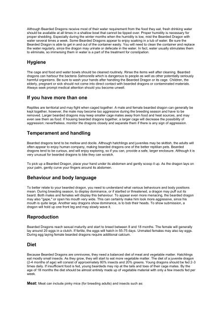 Bearded Dragon Care Sheet - Shires Veterinary Practice