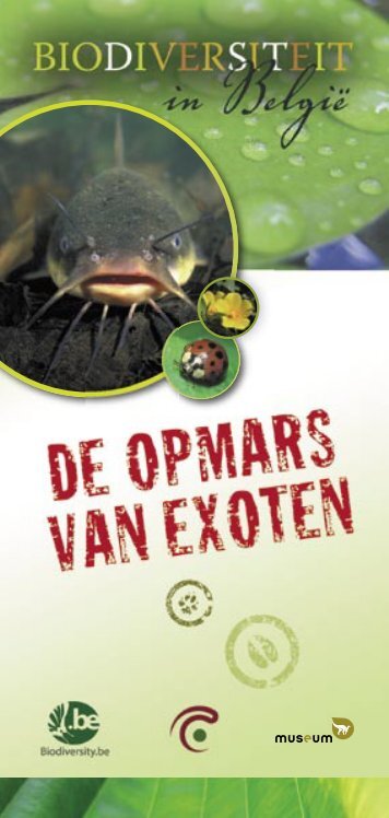 De opmars van exoten