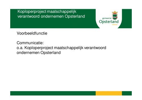 gemeente Opsterland - DGMR