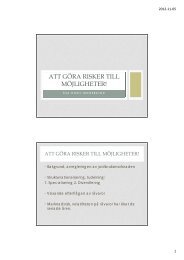 ATT GÖRA RISKER TILL MÖJLIGHETER!