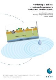 Vurdering af danske grundvandsmagasiners sårbarhed overfor vejsalt