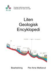 Liten Geologisk Encyklopedi - GeoNord