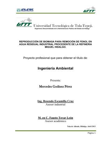 Universidad Tecnológica de Tula-Tepeji. Ingeniería Ambiental