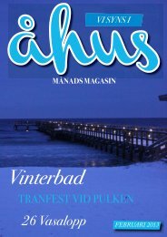 Februari 2013 - Vi Syns i Åhus