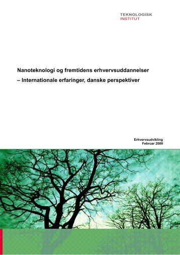 Nanoteknologi og fremtidens erhvervsuddannelser