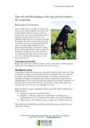 Informationsblad hundar - Ockelbo