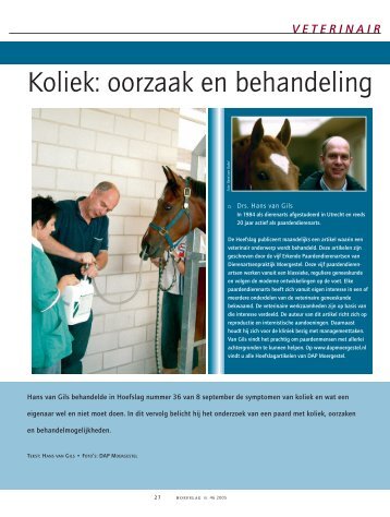 Koliek: oorzaak en behandeling - Dierenartsenpraktijk Moergestel