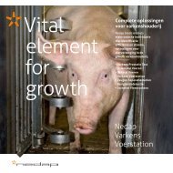 Nedap Varkens Voer station - Nedap Livestock Management