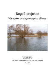 Våtmarker och hydrologiska effekter, 2003 - Segeåns ...