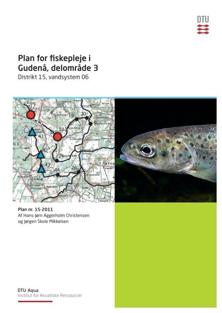 Plan for fiskepleje i Gudenå, delområde 3 - Bjerringbro & omegns ...