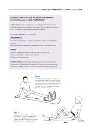 rehabiliteringsprogram vid akuta och kroniska besvär i knäskålssenan