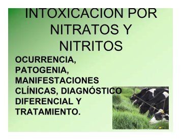 INTOXICACIÓN POR NITRATOS Y NITRITOS