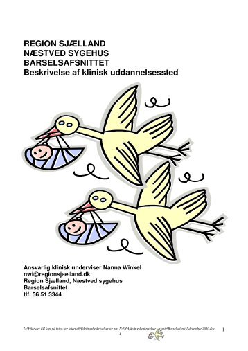 Barselsafsnit 1 (pdf) - Region Sjælland