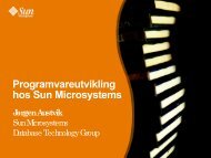 Programvareutvikling hos Sun Microsystems