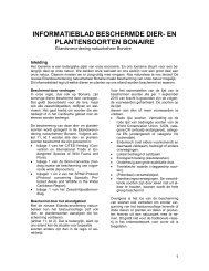 informatieblad beschermde dier- en plantensoorten bonaire