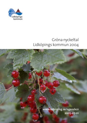 Gröna nyckeltal Lidköpings kommun 2004