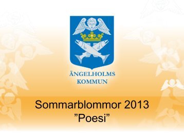 Sommarblommmor 2013 sortiment