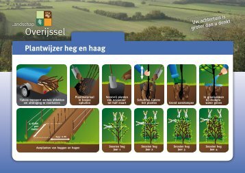 Download de plantwijzer heg en haag - Landschap Overijssel