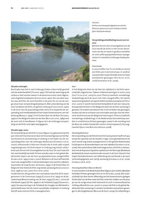 Opmerkelijke opmars van de Elrits in Limburg - Natuurbalans